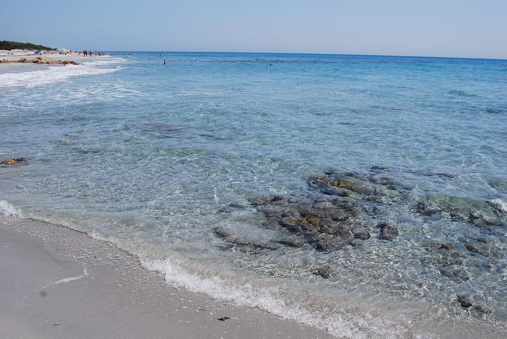 B&B Il Mirto Di Paola Torpè Εξωτερικό φωτογραφία