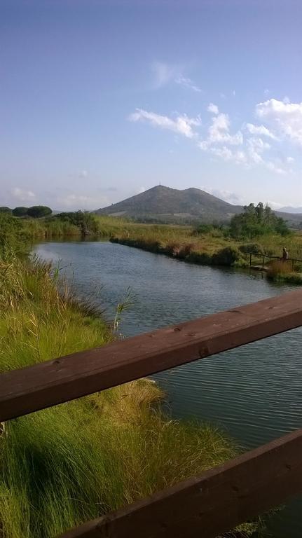 B&B Il Mirto Di Paola Torpè Εξωτερικό φωτογραφία